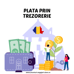 anunt mediu trezorerie